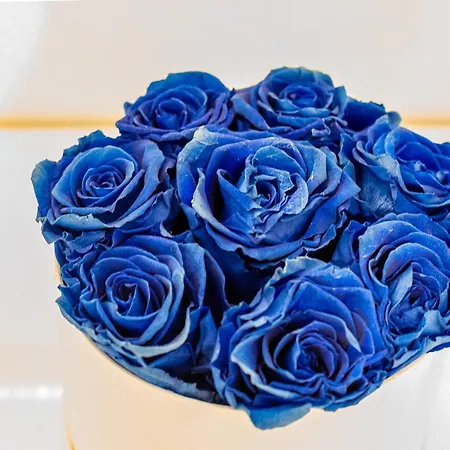 Iflat Cozy Flat At Two Steps From Vatican Roma